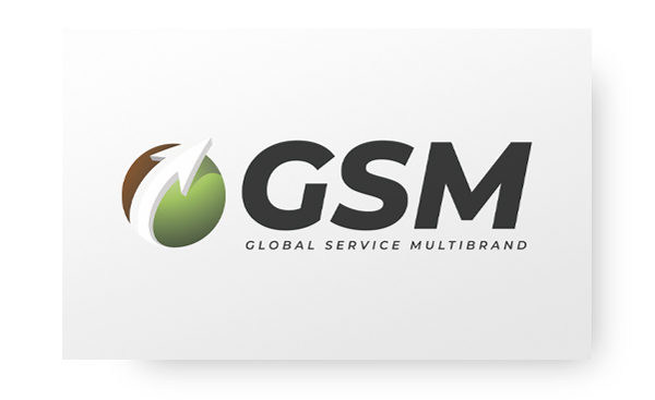 Realizzazione Logo GSM